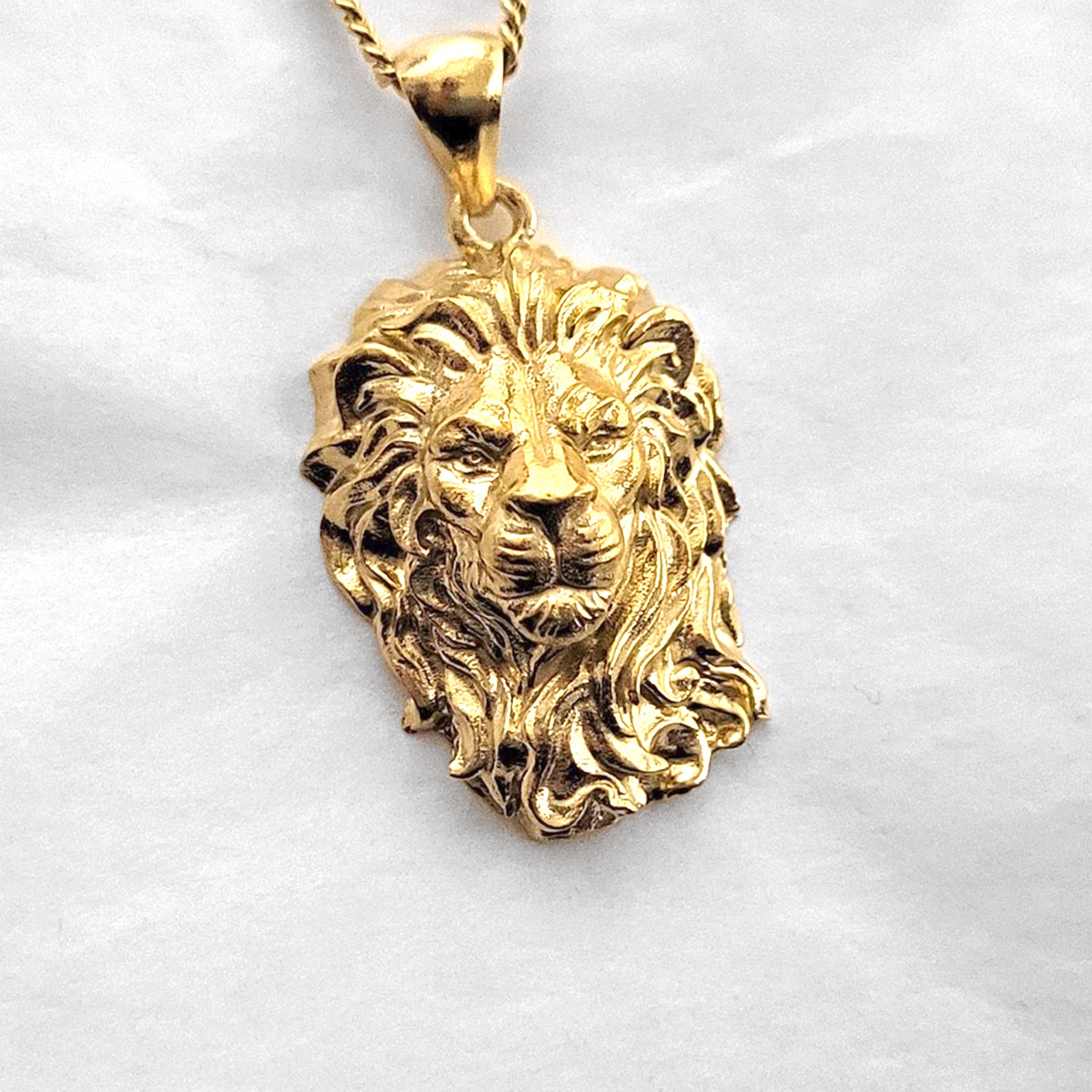 Men's Gold Titanium Lions Head Pendant Necklace – Eye Candy Los Angeles
