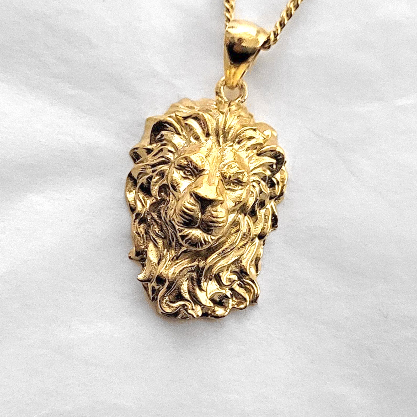 Lion's Head Silver Necklace for Men